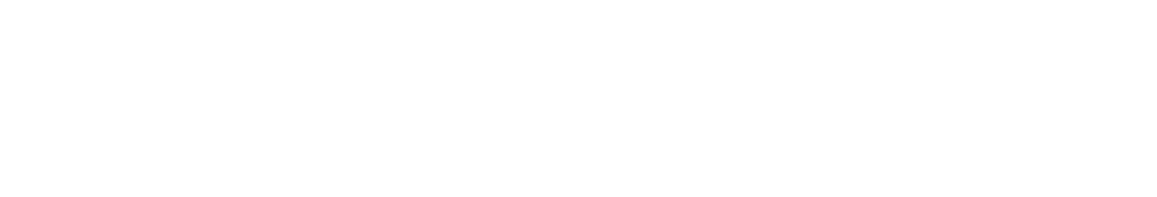 AIO Franchise OS